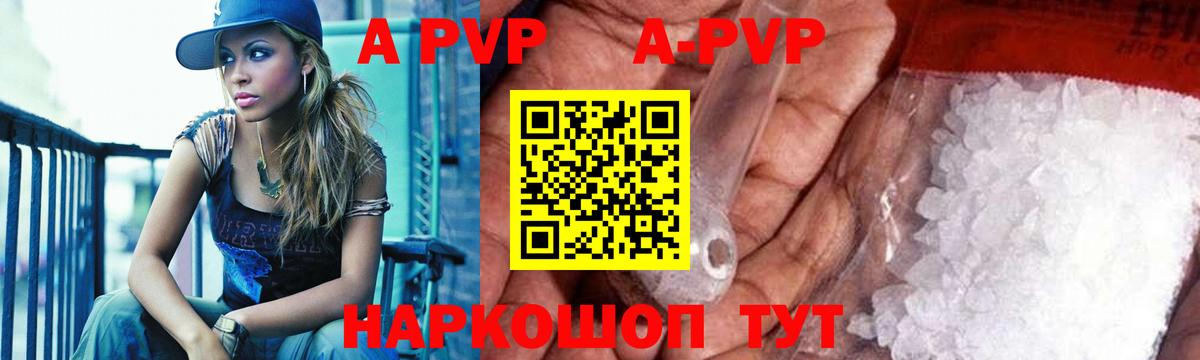 Alfa_PVP СК Бердск