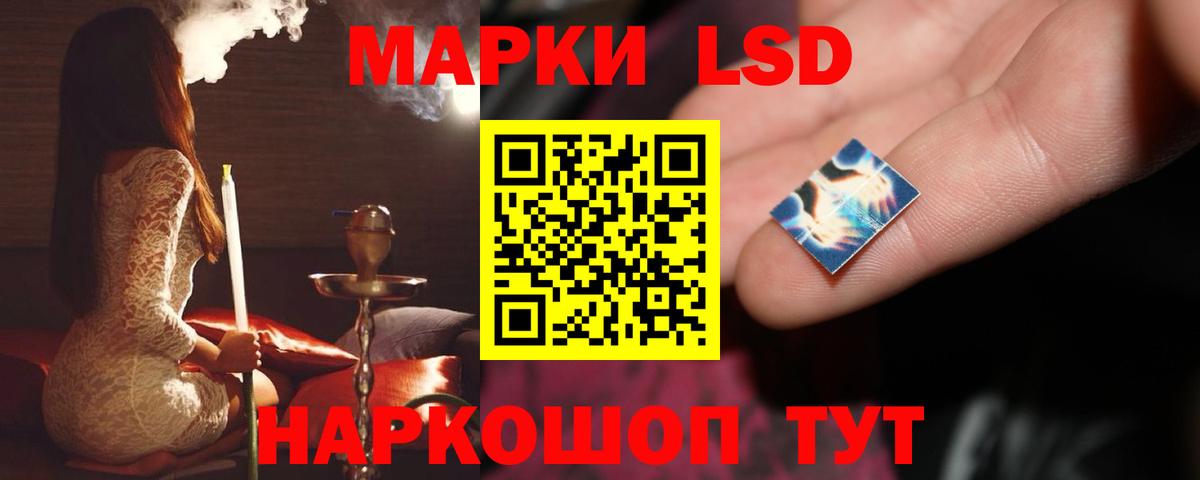 ЛСД экстази кислота  МЕГА ССЫЛКА  Бердск  LSD-25 экстази кислота  Вход с VPN 