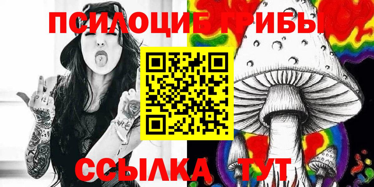 Псилоцибиновые грибы мицелий Бердск