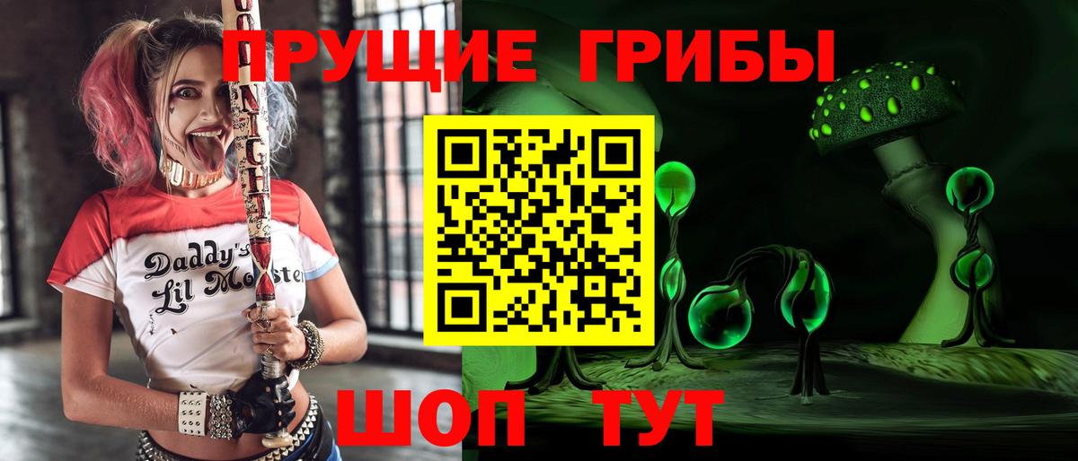 Галлюциногенные грибы мицелий  Вход с VPN  цены наркотик  Галлюциногенные грибы Psilocybe  Бердск 